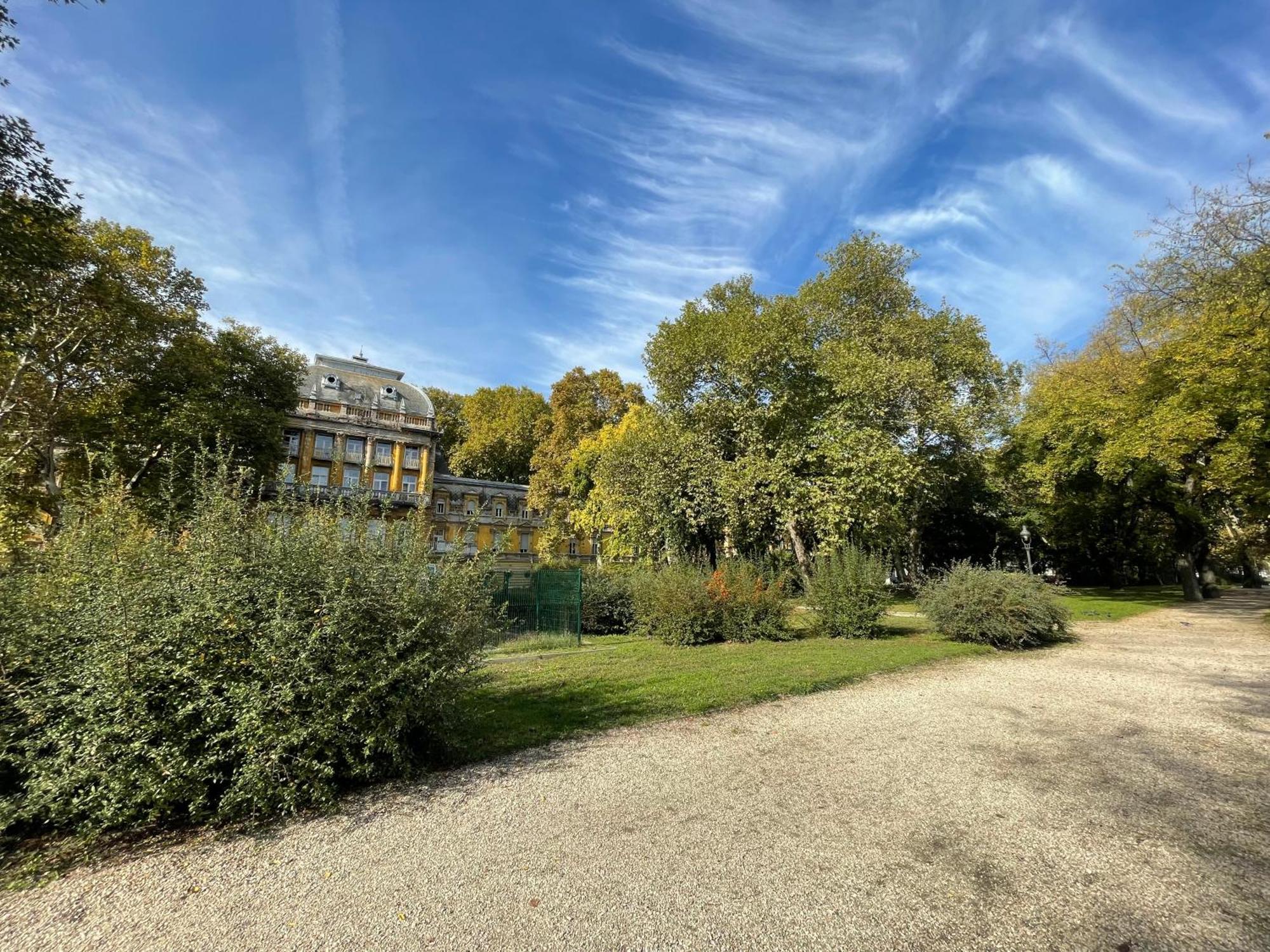 Margaret Apartment Next To The Lukacs Spa With Panorama Danube Budapest Luaran gambar
