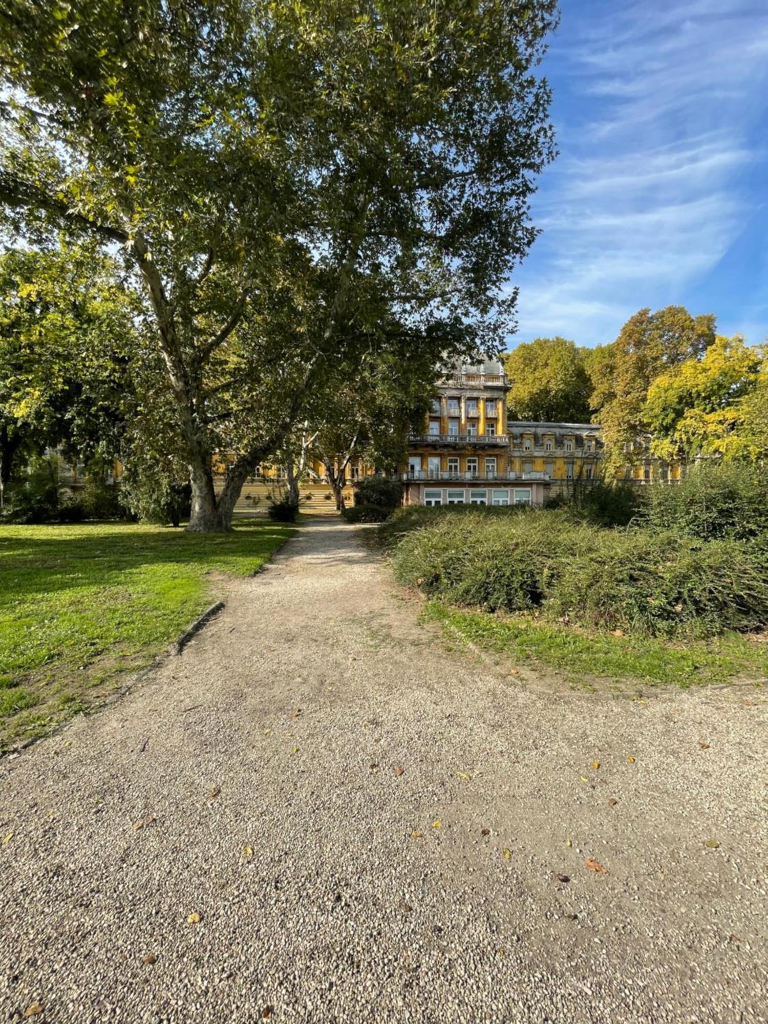 Margaret Apartment Next To The Lukacs Spa With Panorama Danube Budapest Luaran gambar