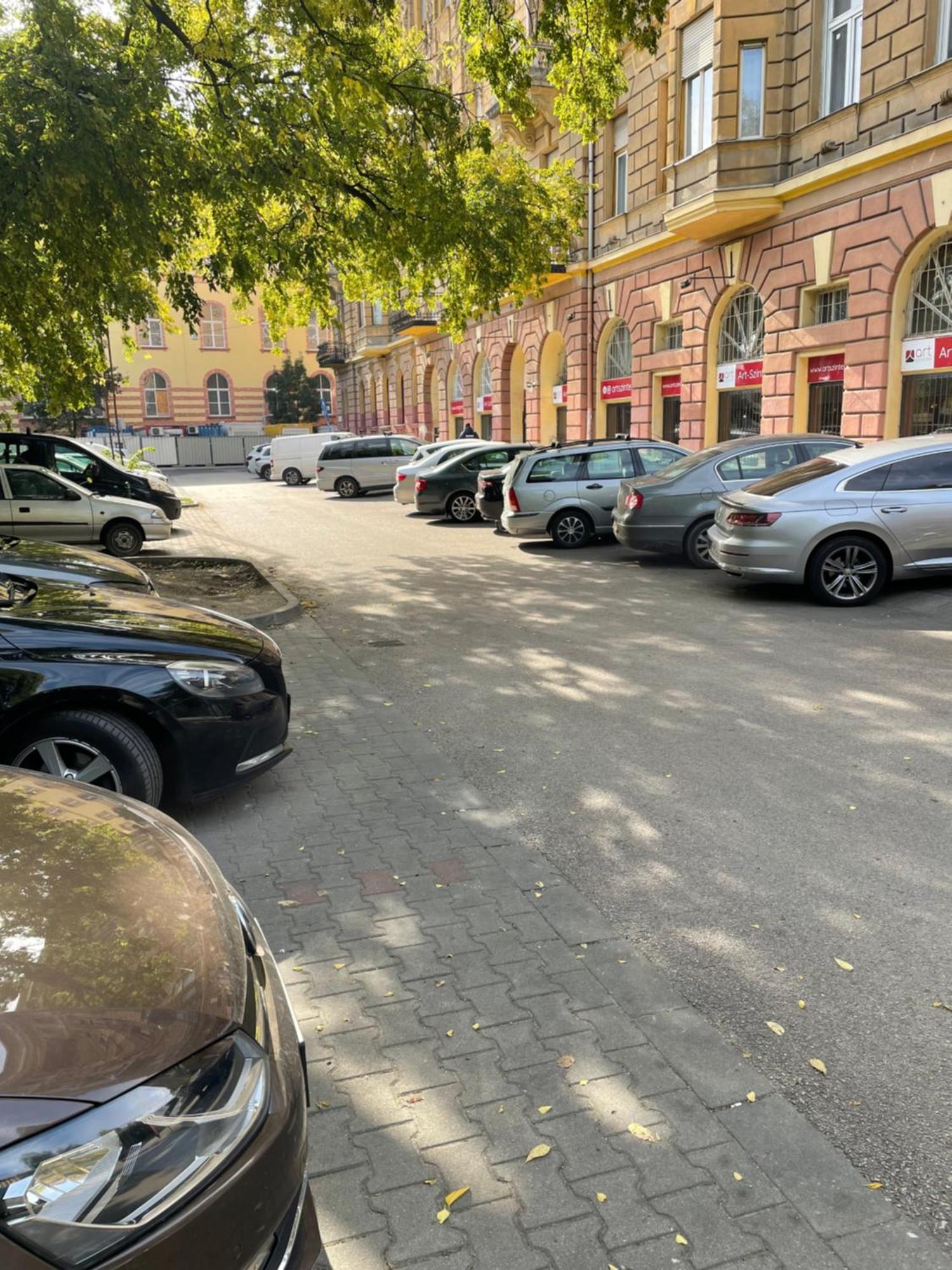 Margaret Apartment Next To The Lukacs Spa With Panorama Danube Budapest Luaran gambar